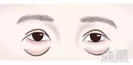 案例图片