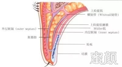 案例图片