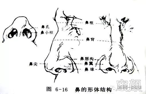 案例图片