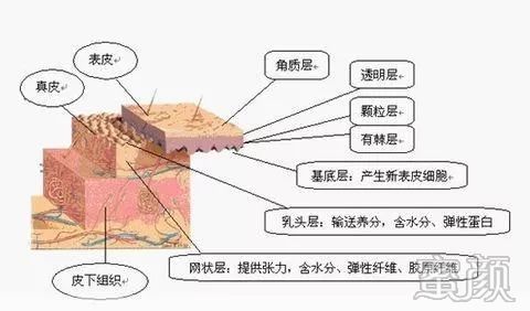 https://img.yiyiaimei.com/mnt/timg/200201/142P2L29-2.jpg