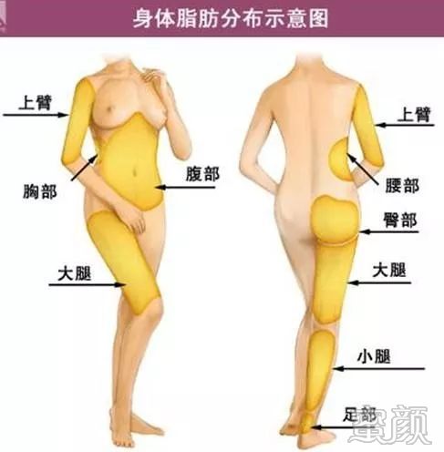 案例图片