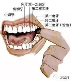 案例图片