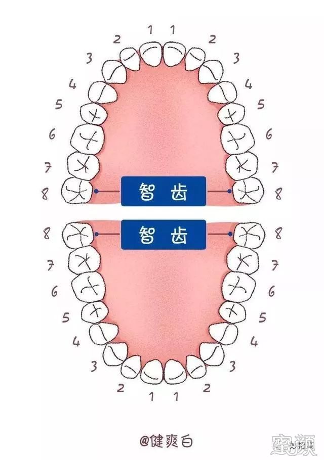 案例图片