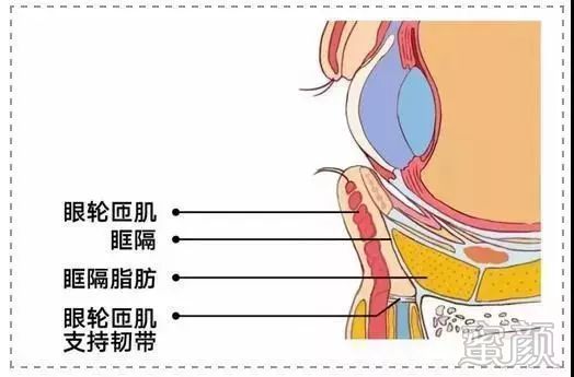 案例图片