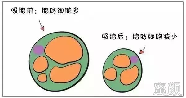 案例图片