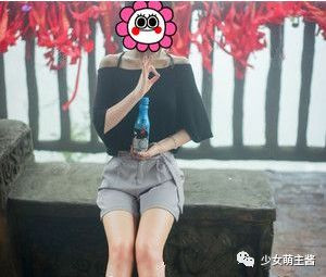 案例图片