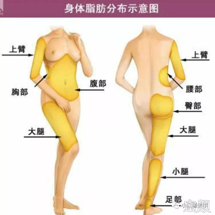 https://img.yiyiaimei.com/mnt/timg/200214/1401106433-1.jpg