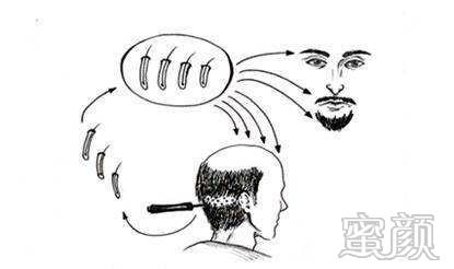 https://img.yiyiaimei.com/mnt/timg/200215/1433233618-13.jpg