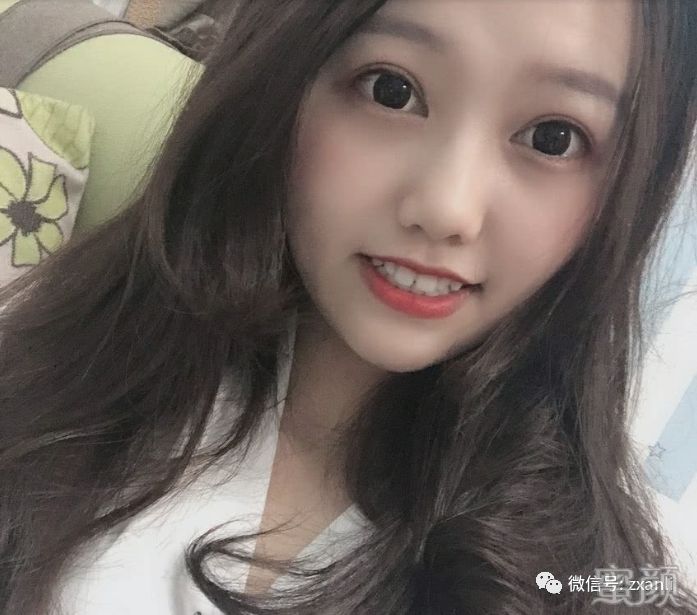案例图片