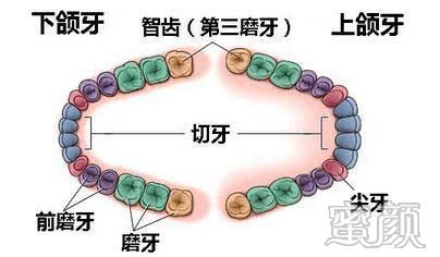 案例图片