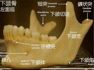 案例图片