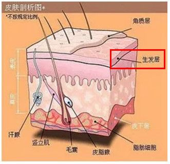 案例图片