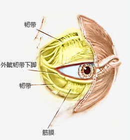 案例图片