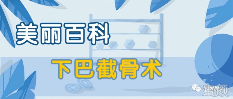 案例图片