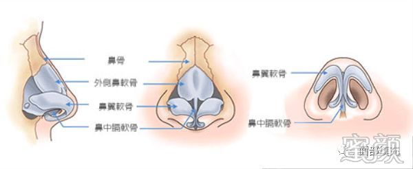 案例图片