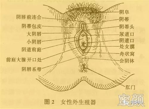 案例图片