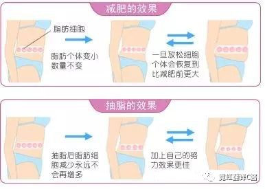 案例图片