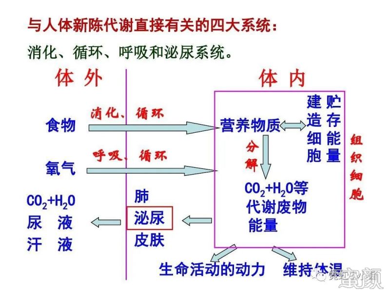 案例图片