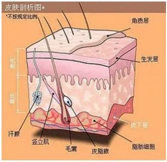 案例图片