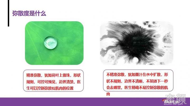 案例图片