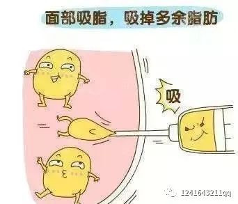案例图片