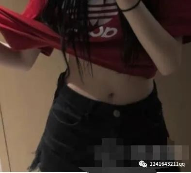 案例图片
