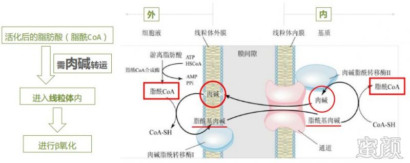 案例图片