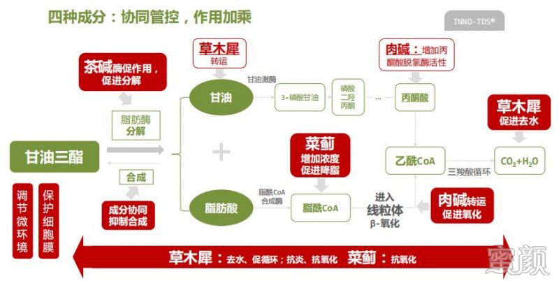 案例图片