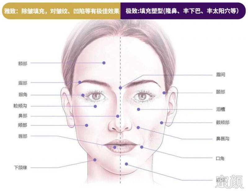 案例图片