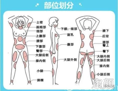 案例图片