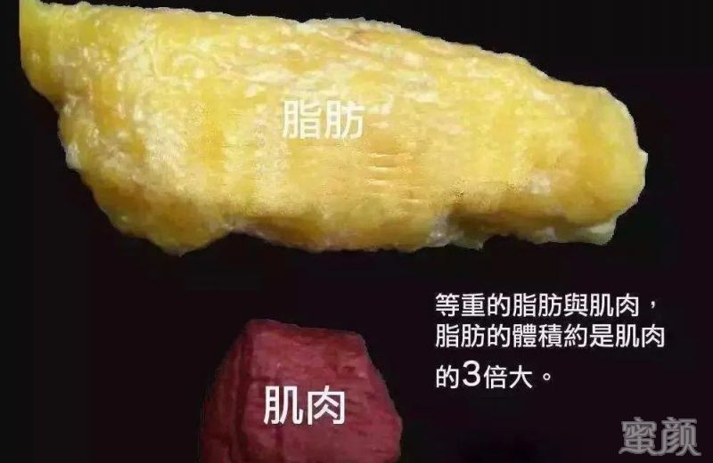 案例图片