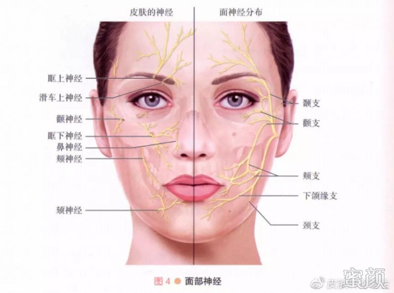案例图片