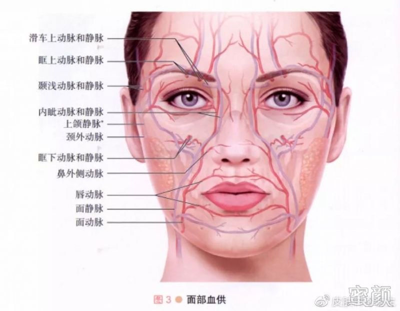 案例图片