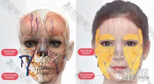 https://img.yiyiaimei.com/mnt/timg/200305/1505063026-0.jpg