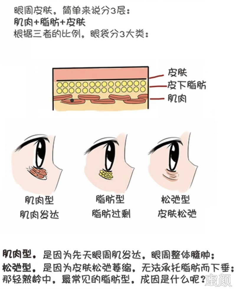 案例图片