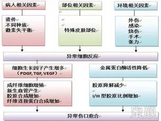 案例图片