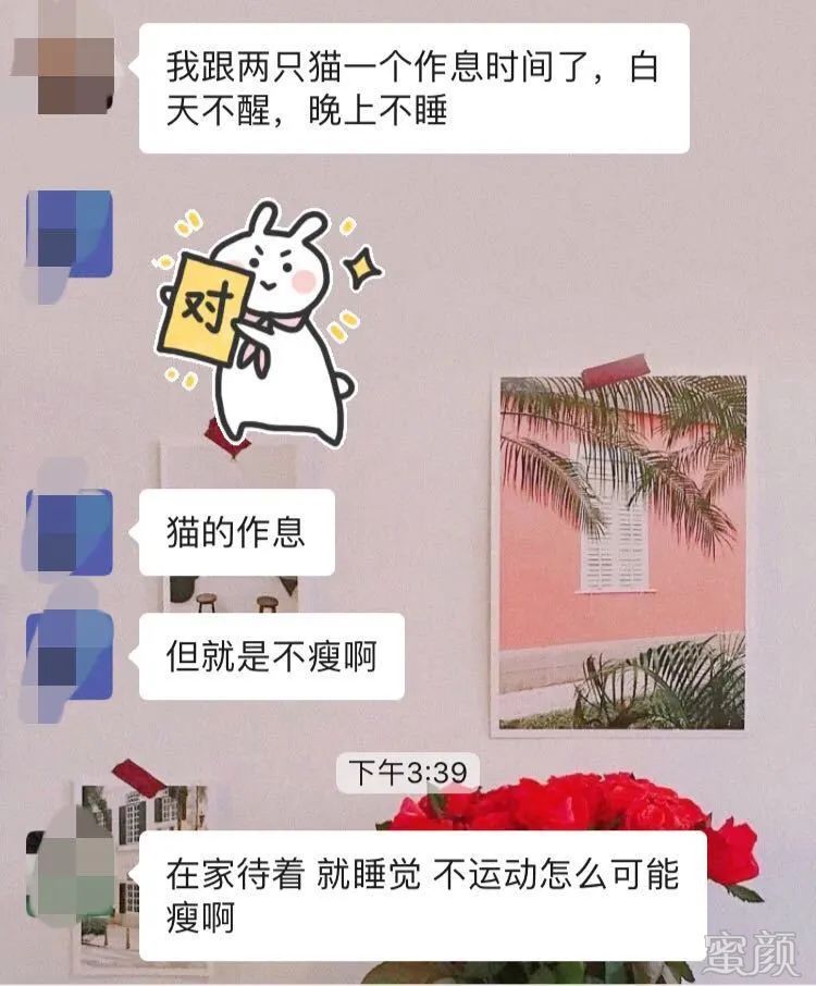 https://img.yiyiaimei.com/mnt/timg/200307/1344535515-0.jpg