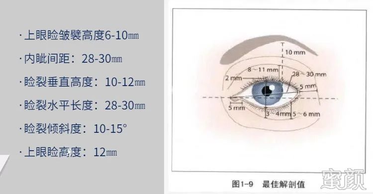 案例图片