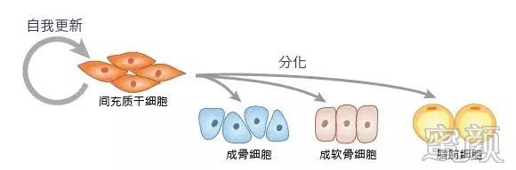 案例图片