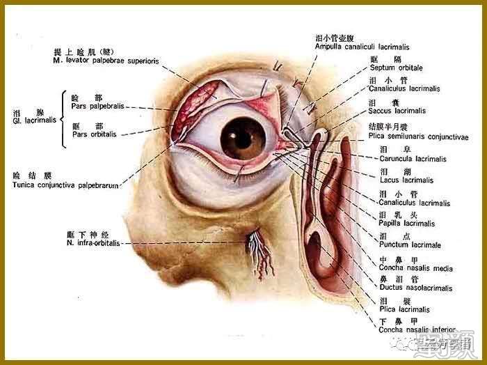 案例图片