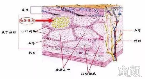 https://img.yiyiaimei.com/mnt/timg/200310/131FW643-1.jpg