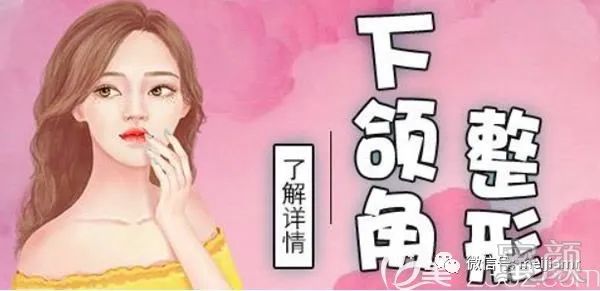 案例图片
