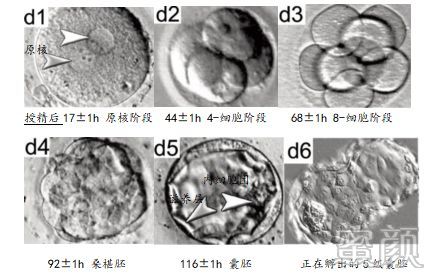 https://img.yiyiaimei.com/mnt/timg/200312/1316234502-4.jpg