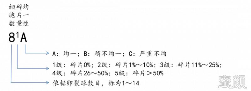 https://img.yiyiaimei.com/mnt/timg/200312/131623N07-3.jpg