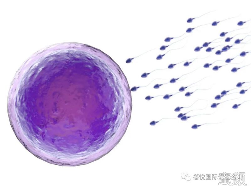 https://img.yiyiaimei.com/mnt/timg/200312/13213611c-6.jpg