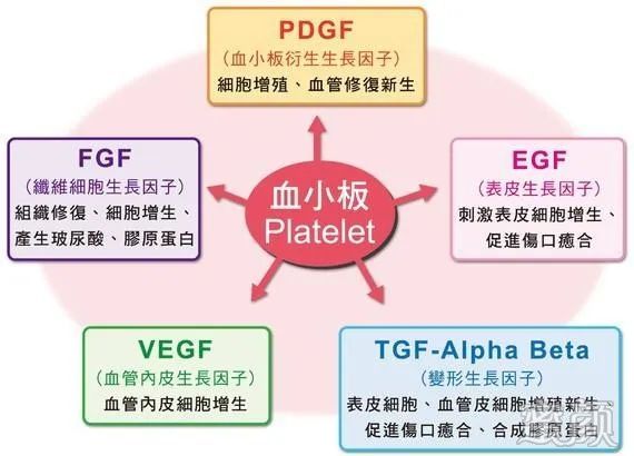 https://img.yiyiaimei.com/mnt/timg/200313/1420594250-10.jpg