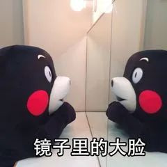 案例图片