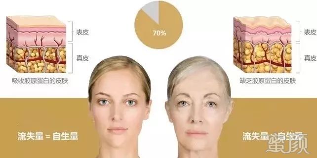案例图片