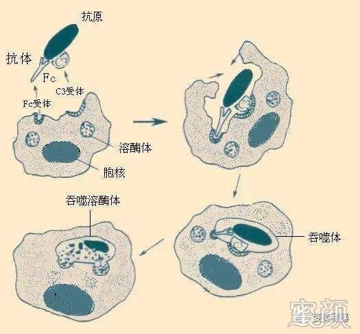 案例图片