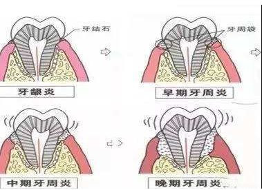 案例图片